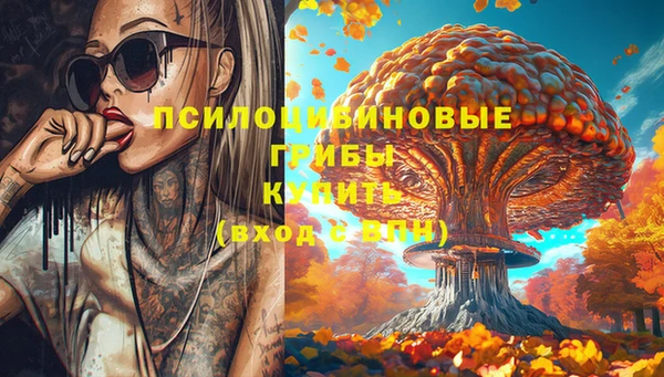 спиды Новодвинск