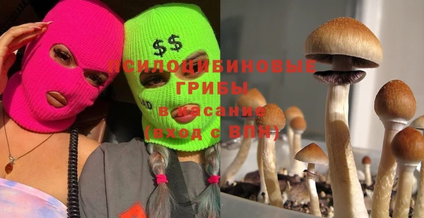 спиды Новодвинск
