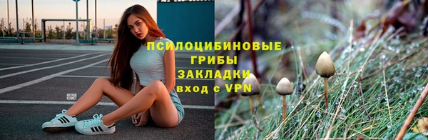 марки lsd Нея