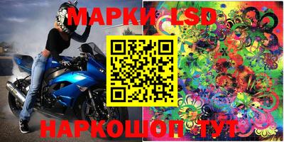 Альфа ПВП Камышлов