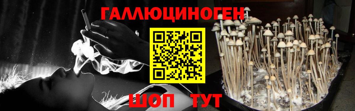 Галлюциногенные грибы мухоморы Изобильный